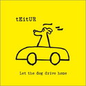 CD REZI SINGER / SONGWRITER: TEITUR - LET THE DOG DRIVE HOME