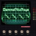 CD REZI ELECTROPUNK: GAMMABLITZBOYS - 1.21 Gigawatt