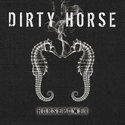CD REZI BLUESROCK: DIRTY HORSE