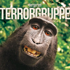 CD REZI DEUTSCHPUNK: TERRORGRUPPE