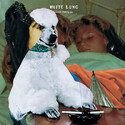 CD REZI MODERN PUNK: WHITE LUNG