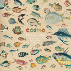 CD REZI ALTERNATIVE ROCK: COSMO SHELDRAKE - THE MUCH MUCH HOW HOW AND I