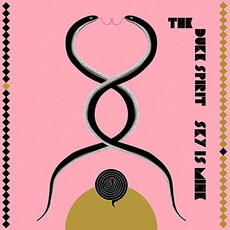 CD REZI POP: THE DUKE SPIRIT - SKY IS MINE