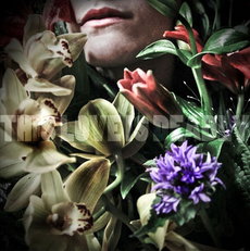 CD REZI PSYCHEDELIC INDIE: THIS LOVE IS DEADLY, THIS LOVE IS DEADLY