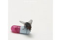 CD REZI ALTERNATIVE: RED HOT CHILI PEPPERS, I’M WITH YOU