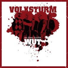 CD REZI OI!: VOLXSTURM, EIN KLEINES BißCHEN WUT