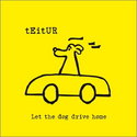 CD REZI SINGER / SONGWRITER: TEITUR - LET THE DOG DRIVE HOME