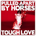CD REZI POST HARDCORE: PULLED APART BY HORSES, TOUGH LOVE