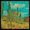 CD REZI TEXMEX: PUTA MADRE BROTHERS, IT'S A LONG WAY TO MEXIMOTOWN