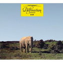 CD REZI FRITTENBUDE, "DELFINARIUM"