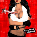 CD REZI POP-PUNK: ZEBRAHEAD