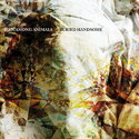 CD REZI INDIE: MEN AMONG ANIMALS