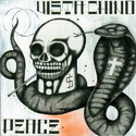 CD REZI DESERT ROCK: VISTA CHINO