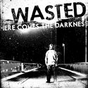 CD REZI PUNK: WASTED