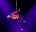 SO WAR: CIRCUS FLIC FLAC PREMIERE, 18.12.13-06.01.14, VOLKSFESTPLATZ NÜRNBERG