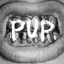 CD REZI PUNKROCK: PUP