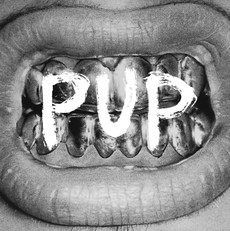 CD REZI PUNKROCK: PUP