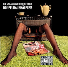 CD REZI SPASS-ROCK: DIE ZWANGSVERSTEIGERTEN DOPPELHAUSHELFTEN