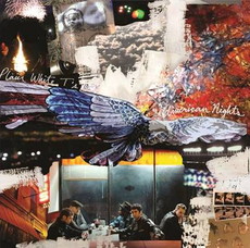 CD REZI ZUCKER-INDIE: PLAIN WHITE T’S