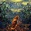 CD REZI FLORIDA DEATH METAL: SKELETAL REMAINS