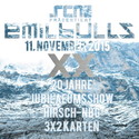 MORGEN EINSENDESCHLUSS: .rcn präsentiert EMIL BULLS, MI. 11.11.2015, NBG-HIRSCH