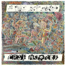 CD REZI GARAGE-ROCK: CASS MCCOMBS