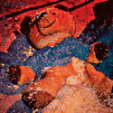 CD REZI PUNK: BAZOOKA
