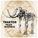 CD REZI ALTERNATIVE PUNK: TRAKTOR