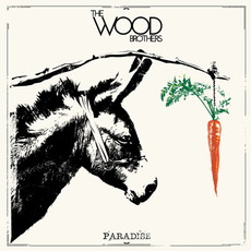 CD REZI SINGER/SONGWRITER: THE WOOD BROTHERS