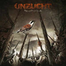 CD REZI DARK-ROCK: UNZUCHT