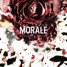CD REZI POST-HARCORE/POST-ROCK: THE COLOR MORALE