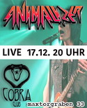 17.12.2016: LIVE FÜR FANS VON AIRBOURNE UND MOTÖRHEAD IM COBRA CLUB, NÜRNBERG: ANIMALIZER