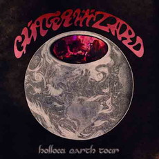 CD REZI VERSCHWÖRUNGSTHEORIENROCK: GLITTER WIZARD