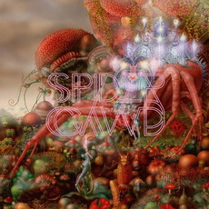 CD REZI RETRO-HARDROCK: SPIDERGAWD - IV