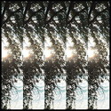 CD REZI HIPPIE-BREW ROCK: PONTIAK