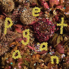 CD REZI GARAGENPUNK: PWR BTTM - PAGEANT