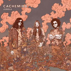 CD REZI PSYCHEDELIC ROCK: CACHEMIRA- JUNGLA