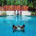 CD REZI ELECTRO-POP: SPARKS - HIPPOPOTAMUS