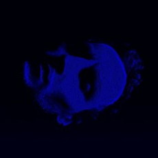 CD REZI INDUSTRIAL DARK POP: FERN - EP