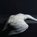 CD REZI DOOM: AMENRA - MASS VI