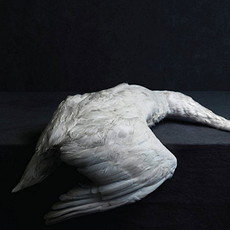 CD REZI DOOM: AMENRA - MASS VI