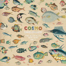 CD REZI ALTERNATIVE ROCK: COSMO SHELDRAKE - THE MUCH MUCH HOW HOW AND I
