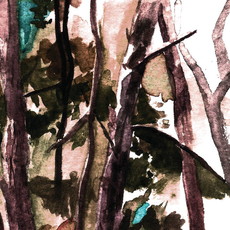 CD REZI GRUNGE / FOLK / PUNK: HOP ALONG - BARK YOUR HEAD OFF, DOG
