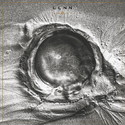 CD REZIS POST-METAL / EXTREM-SLUDGE: LLNN - DEADS