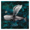 CD REZI NOISE-ROCK: ENOB - LA FOSSE AUX DÉBILES