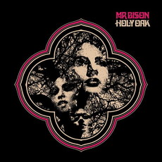CD REZI RETRO-ROCK: MR BISON - HOLY OAK