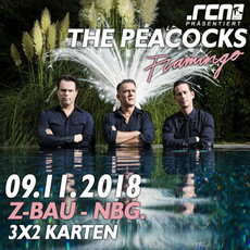 MITTWOCH EINSENDESCHLUSS: .rcn präsentiert: THE PEACOCKS, FR. 09.11.2018, Z-BAU, NÜRNBERG