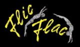 FLIC FLAC X-MAS-SHOW NBG. 2019