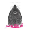 .RCN 233 CD Rezi POSTHARDCORE: WOLVES LIKE US - BRITTLE BONES