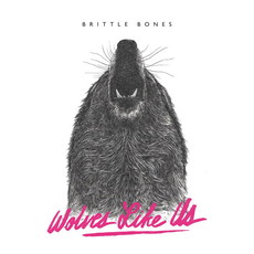 .RCN 233 CD Rezi POSTHARDCORE: WOLVES LIKE US - BRITTLE BONES